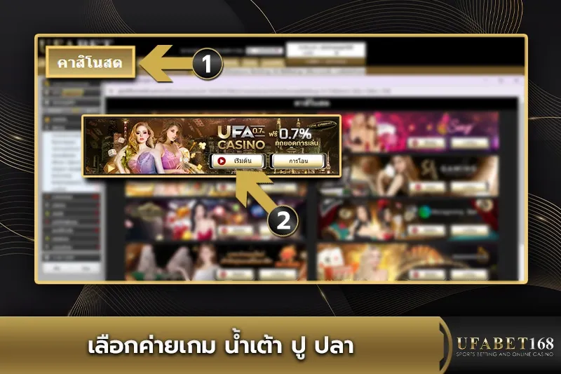 เลือกค่ายเกมน้ำเต้า ปู ปลา